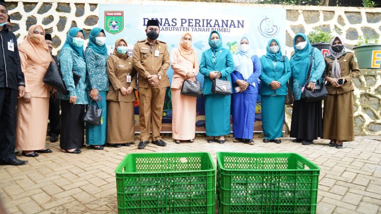 Panen ikan air tawar teknologi bioflok diletakkan dalam keranjang. (Foto: Dinas Kominfo Kabupaten Tanah Bumbu/Katajari.com)