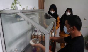 Milenial Belajar Dari Pelaku Usaha Kembangkan Usaha Jamur Tiram