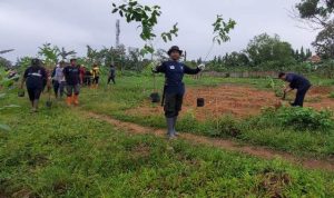 Dishut Kalsel lakukan pemeliharaan dan penyulaman tanaman Eucalyptus Pellita di Jalan Ambulung samping BP-PAUD dan DIKMAS Kalsel, Kamis (5/1/2023). (Foto: Dishut Kalsel)
