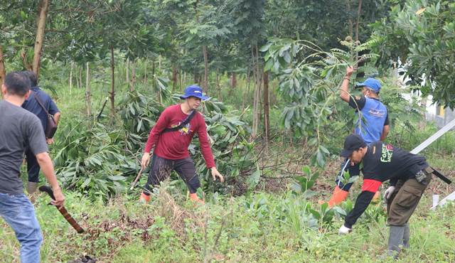 Pemeliharaan tanaman oleh rimbawan Dishut Kalsel di kawasan Forest City di depan Dinas Pendidikan Kalsel, Jumat (20/1/2023). (Foto: Dishut Kalsel)