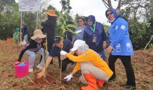 Dishut Kalsel fasilitasi IKA Fahutan ULM Bakti Alumni aksi tanam 2000 batang pohon di Tahura Sultan Adam Mandingan, Jumat (10/2/2023). (Foto: Dishut Kalsel/Katajari.com)