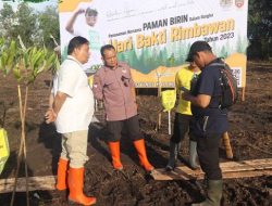 Gladi Hari Bakti Rimbawan, Tanam 500 Batang Pohon Pulai