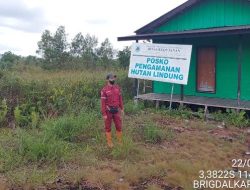 Dinas Kehutanan Kalsel Terus Patroli Rutin Cegah Karhutla