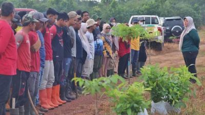 Program Revolusi Hijau dengan penanaman 500 pohon mahoni di Jalan Palam Kota Banjarbaru, Kamis (12/4/2023) pagi. (Foto: Dishut Kalsel/Katajari.com)