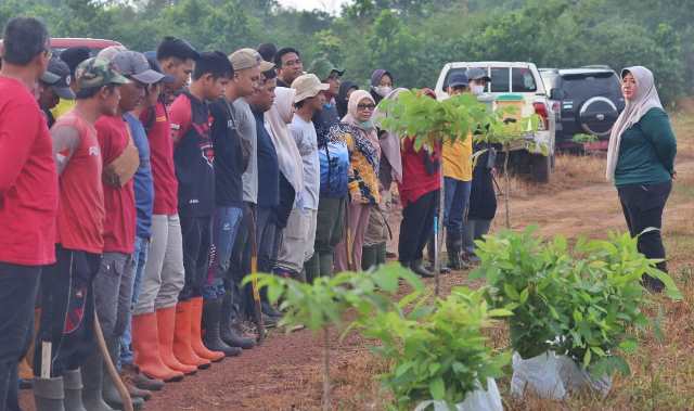 Program Revolusi Hijau dengan penanaman 500 pohon mahoni di Jalan Palam Kota Banjarbaru, Kamis (12/4/2023) pagi. (Foto: Dishut Kalsel/Katajari.com)