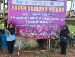 Bawang Intan Naisya, Usaha Siswi SMK-PPN Kementan Sukses Budidaya Bawang Merah