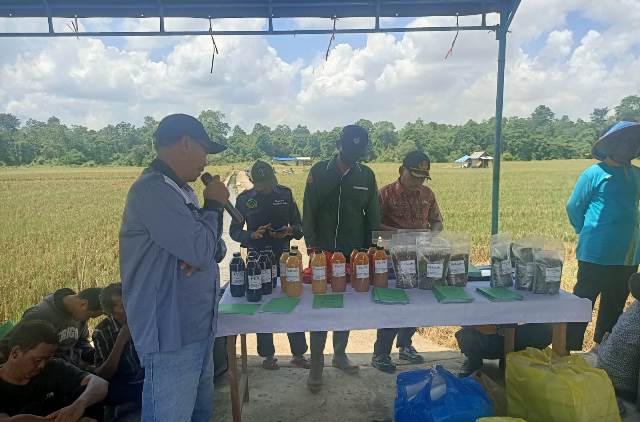 Kementan Masifkan Genta Organik Melalui Farmer Field Day Di Kalimantan ...