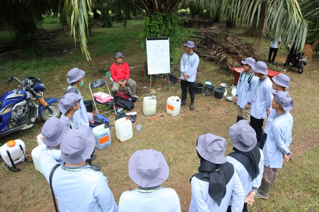 Uji Sertifikasi Profesi (USP) Bidang Pertanian bagi 60 siswa kelas XII SMK PP Negeri Banjarbaru Tahun Pelajaran 2022/2023. (Foto: Tim Ekspos SMK PP Negeri Banjarbaru/Katajari.com)