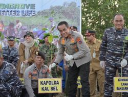 Kapolda Kalsel Bersama Forkopimda Tanam Mangrove di Takisung