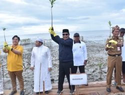 Paman Birin Pelopori Penanaman 7000 Bibit Mangrove di Kabupaten Tanah Laut