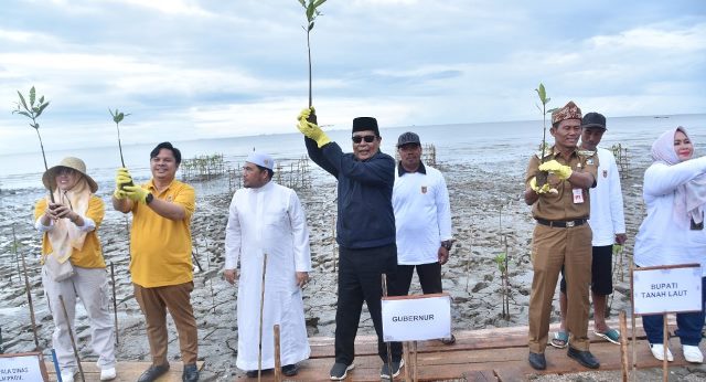 Paman Birin memimpin penanaman sebanyak 7.000 bibit mangrove ditanam di kawasan Pantai Sungai Bakau, Desa Sungai Bakau, Kabupaten Tanah Laut, Senin (5/6/2023) siang. (Foto: Adpim Setdaprov Kalsel/Katajari.com)