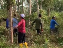 Musim Kemarau, Tanaman Forest City Semakin Dipelihara Dishut Kalsel