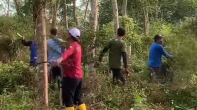 Musim Kemarau, Tanaman Forest City Semakin Dipelihara Dishut Kalsel
