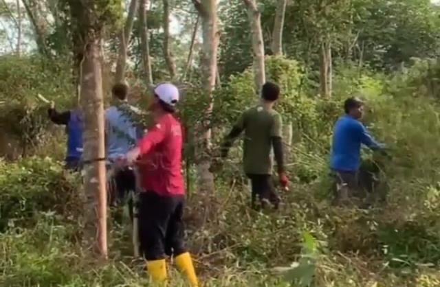 Pemeliharaan tanaman di lokasi Firest City terus dilaksanakan Dinas Kehutanan (Dishut) Provinsi Kalimantan Selatan (Kalsel), Jumat (23/6/2023) pagi. (Foto: Dishut Kalsel/Katajari.com)