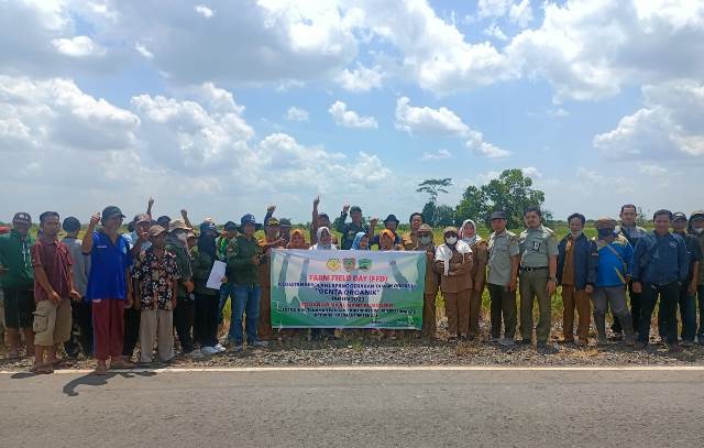 Kegiatan Farmer Field Day (FFD) yang baru-baru ini digelar di Desa Pantik, Kecamatan Pandih Batu, Kabupaten Pulang Pisau, Provinsi Kalimantan Tengah, Senin (28/8/2023). (Foto: Tim Ekspos SMK PP Negeri Banjarbaru/Katajari.com)