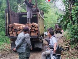 Dinas Kehutanan Kalsel Sita 13 Meter Kubik Kayu Diduga Illegal Logging