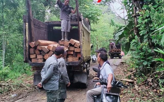 Sekitar 13 kubik kayu berjenis ulin dan rimba campuran dengan berbagai ukuran berhasil diamankan tim gabungan satuan Polisi Hutan (polhut) Dinas Kehutanan (Dishut) Kalimantan Selatan (Kalsel) dan Polhut Kesatuan Pengelolaan Hutan (KPH). (Foto: Dinas Kehutanan Kalsel/Katajari.com)