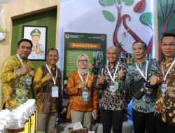 Provinsi Kalimantan Selatan Ikut Festival LIKE