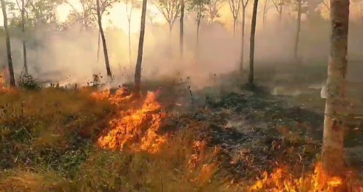 247 hotspot visual tersebut telah membakar hutan dan lahan seluas 285,14 hektare di Kabupaten Banjar. (Foto: BPBD Kabupaten Banjar/Katajari.com)