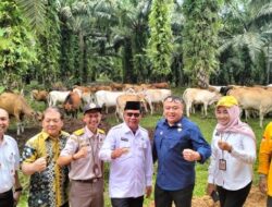 Empat Program Inovasi Kalimantan Selatan Tahun 2024