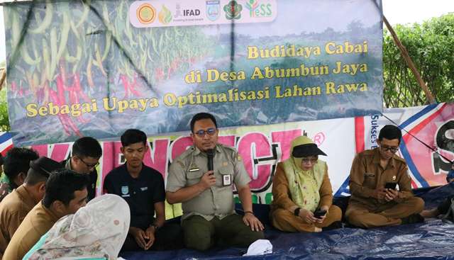 SMK-PP Negeri Banjarbaru sosialisasi optimalisasi lahan rawa kepada petani sekaligus panen raya cabai besar di Kecamatan Sungai Tabuk, Kabupaten Banjar, Senin (18/03/2024). (Foto: Tim Ekspos SMK PP Negeri Banjarbaru/Katajari.com)