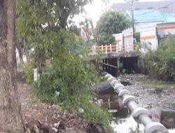 Pemeliharaan Jaringan Pipanisasi Lahan Gambut di Musim Kemarau, PT Air Minum Intan Banjar Bersihkan Rumput Liar