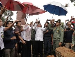 Pelepasliaran Burung Hasil Sitaan Operasi dan Satwa Liar di Tahura Sultan Adam