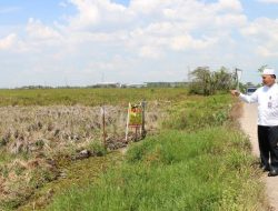 Kemajuan PT Air Minum Intan Banjar Dengan Memacu Kinerja dan Ekspansi Bisnis