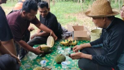 Tiga Jenis Makanan Dianjurkan Tidak Dimakan Bersamaan Dengan Durian