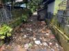 Sungai Kalimati di Kelurahan Murung Keraton Kembali Tertutup Sampah