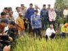 Menteri Zulhas dan Gubernur Muhidin Meninjau Sawah di Kabupaten Barito Kuala