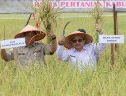 Wabup Banjar Panen Raya Padi Serentak Bersama Presiden Prabowo