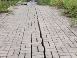 Belum Satu Tahun, Jalan Tani di Desa Antasan Senior Ilir Alami Penurunan