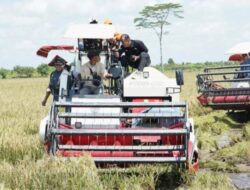 Presiden Prabowo Pimpin Panen Serentak; Produksi Beras Tertinggi Dalam 7 Tahun