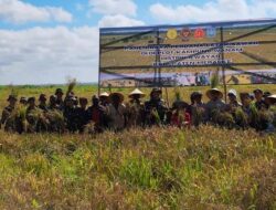 Wanam Merauke Sangat Cocok Dijadikan Lahan Pertanian, Warga Setempat Panen Padi Perdana