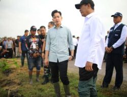 Wapres Gibran dan Mentan Amran Kompak Tanam Padi di Ngawi, Dorong Produksi dan Dukung Kebutuhan Petani