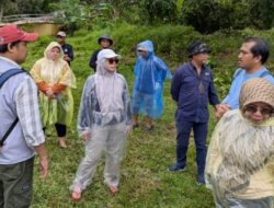 Dishut Kalsel Rencana Penanaman Mangrove di Desa Sabuhur