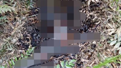 Mayat Tanpa Identitas Ditemukan Dalam Kondisi Membusuk di Gambut