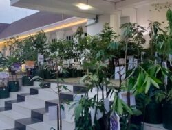 Ucapan Selamat Berbentuk Bibit Tanaman Memenuhi Depan Balai Kota Banjarbaru