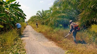 Kader Gerakan Pemuda Ansor Ranting Alalak Padang Perlebar Jalan Desa