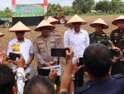 Polres Banjar Swasembada Pangan Tanam Bibit Jagung di Desa Bincau
