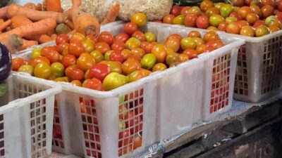 Harga Tomat Di Pasar Martapura Melambung Tinggi