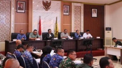 Kalimantan Selatan Target Cetak Sawah 30 Ribu Hektare