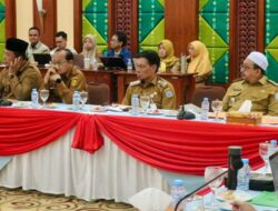 Wakil Bupati Banjar Turut Rapat Koordinasi Kesiapsiagaan Bencana Karhutla