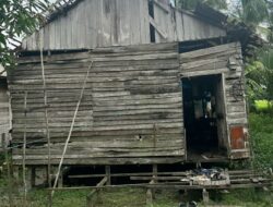 Puluhan Tahun Martinah Tinggal di Rumah Reot, Kinerja Pemkab Banjar Dipertanyakan