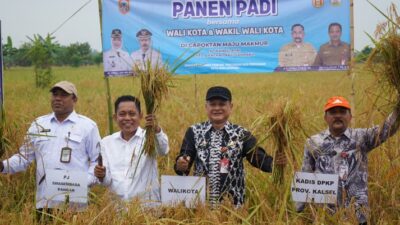 Kuatkan Swasembada Pangan, Pemprov Kalsel dan SMK PP Negeri Banjarbaru Ikuti Panen Padi Bersama