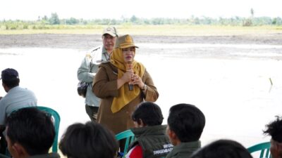 Sukseskan Swasembada Pangan, Kementan Bersama Petani Tanam Serentak MT3 di Kabupaten Kapuas