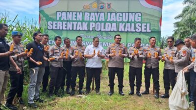 Kolaborasi Dukung Program Ketahanan Pangan di Kalsel, SMK PP Negeri Banjarbaru dan Polres Banjarbaru Panen Jagung