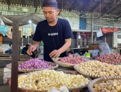 Harga Bawang Merah di Kalimantan Selatan Mulai Beranjak Stabil