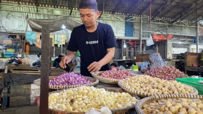 Harga Bawang Merah di Kalimantan Selatan Mulai Beranjak Stabil